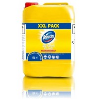 DOMESTOS 5L Citrus Fresh